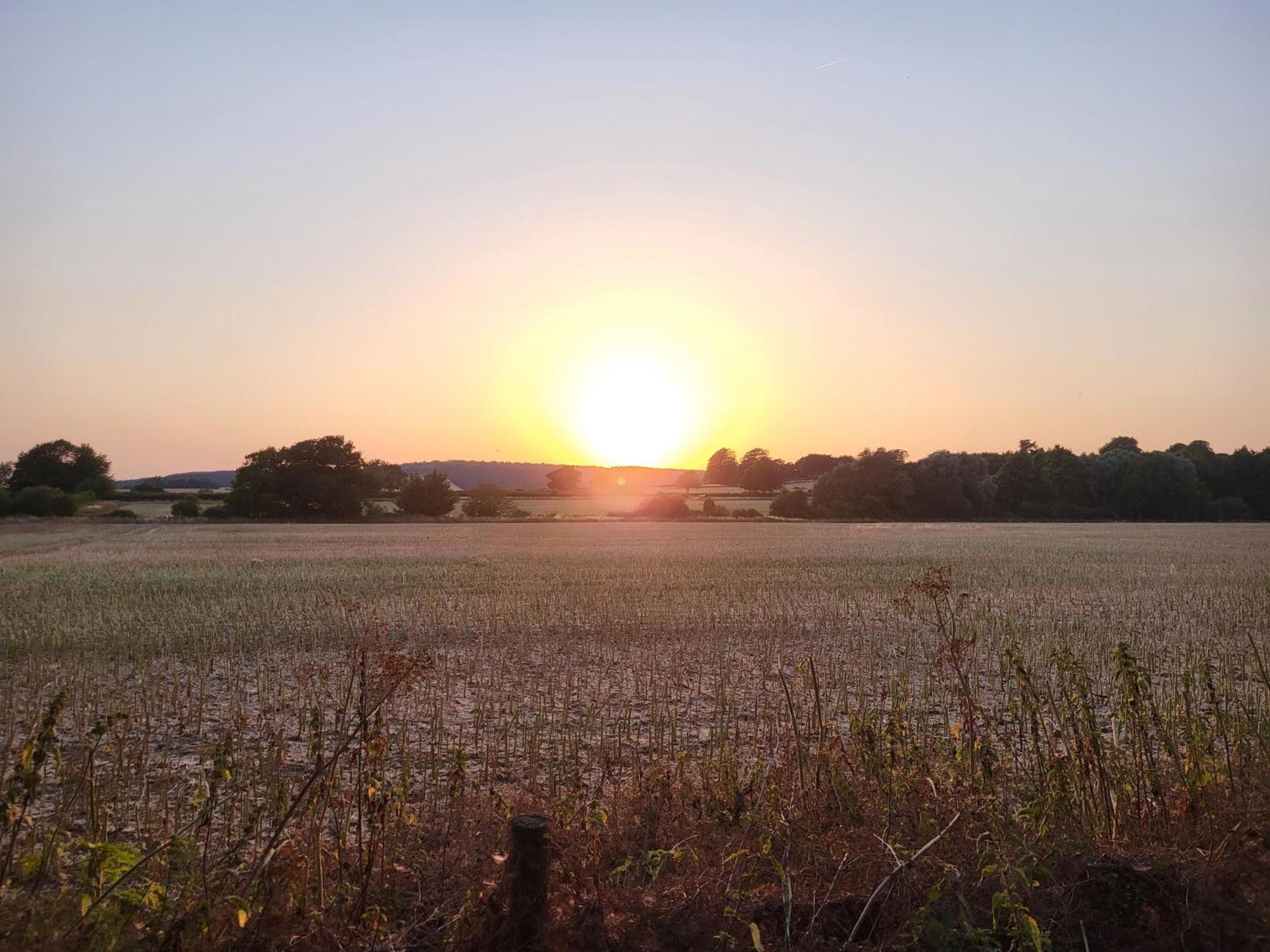 Unique & Rural Child Friendly Annexe With Large Gardens, Games & Tennis Court - Chichester Holiday Properties 외부 사진