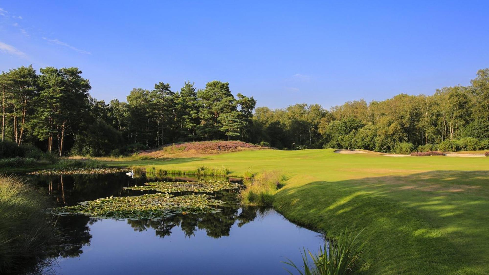 Unique & Rural Child Friendly Annexe With Large Gardens, Games & Tennis Court - Chichester Holiday Properties 외부 사진