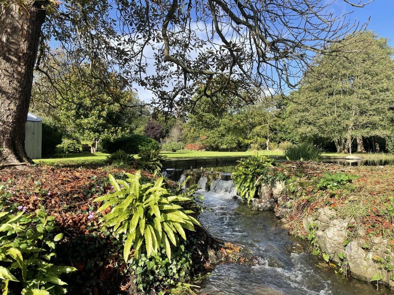 Unique & Rural Child Friendly Annexe With Large Gardens, Games & Tennis Court - Chichester Holiday Properties 외부 사진