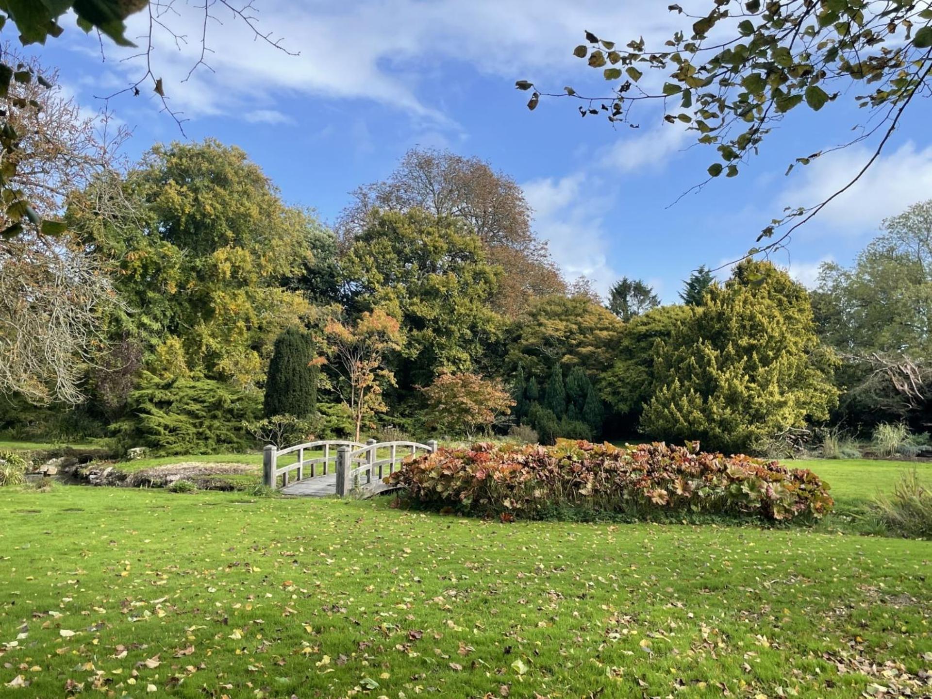 Unique & Rural Child Friendly Annexe With Large Gardens, Games & Tennis Court - Chichester Holiday Properties 외부 사진