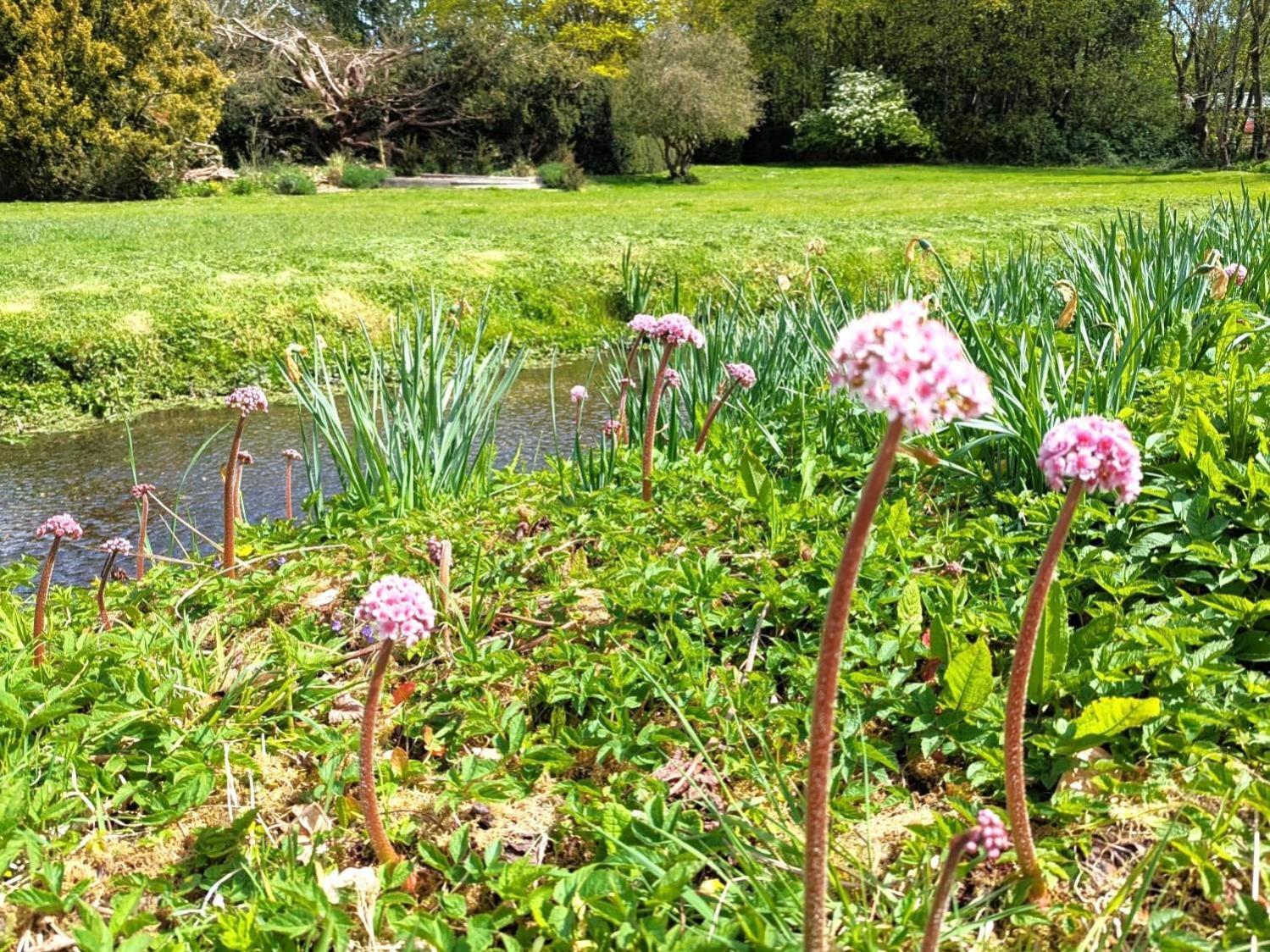 Unique & Rural Child Friendly Annexe With Large Gardens, Games & Tennis Court - Chichester Holiday Properties 외부 사진
