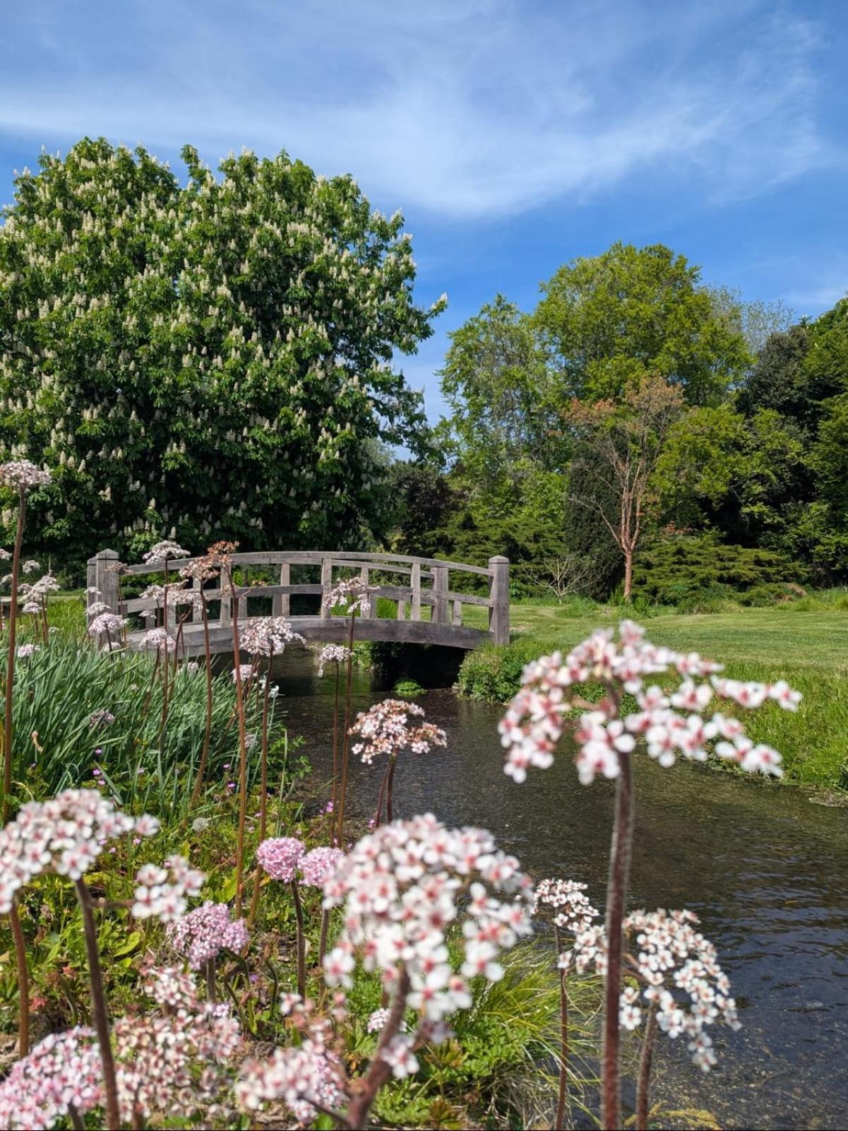Unique & Rural Child Friendly Annexe With Large Gardens, Games & Tennis Court - Chichester Holiday Properties 외부 사진